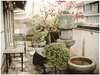 Hostal Whole House Rental Igusa