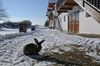Apartamentos Geinberg Suites & Vianova Lodges