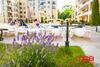Aparthotel Tsb Sunny Victory Apartments