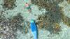Apartamento Chindonan Dive Resort