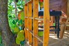 Hotel Lake View Tree House