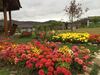 Hotel Phu Pai Kaew Resort