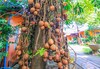 Hotel Pludhaya Resort & Spa
