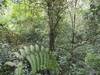 Hotel North Borneo Biostation Resort