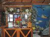 Hotel Love's Beach And Dive Resort