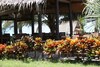 Hotel Ao Thai Resort