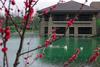 Hotel Narada Resort & Spa Liangzhu