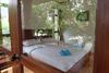 Hotel Big Tree Resort