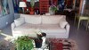 B� Art Studio