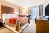 Hotel Comfort Inn Fallsview