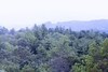 North Carolina Mountain Retreat