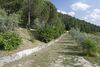 Agroturismo Agriturismo Istrice Innamorato