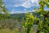 Agroturismo Agriturismo Casa Passerini A Firenze