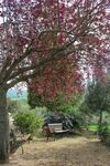 Bed & Breakfast Castello Di Belforte