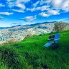 Apartamento Heartwood Mountain Sanctuary