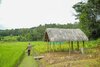 Hotel The Woods Resorts Wayanad