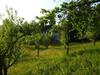 Holiday Home Crkvina