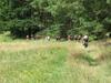 Hotel Natur Sport