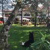Agroturismo P?nar K?r Evi