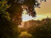 Comfortable Chalet With A Garden, At Nature Reserve
