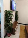 Apartamentos Suite Regina 94