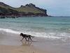 Gurnard's Cottage, St Ives