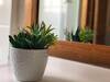 Apartamentos Tropical 2 Bdrm Parking Netflix