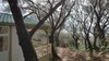R�sidence A Tribbia