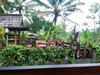 Bed & Breakfast Jatiwangi Villa