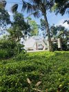 Jungle Bubble Lodge Ubud - Campsite