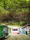 Hotel G Beach Resort And Restobar
