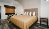 Motel Palace Inn- Louetta
