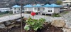 Hotel Blossom Bliss Resort