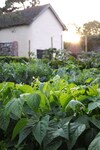 Bed & Breakfast Cross Lane House