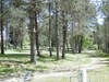 Camping Le Vianon
