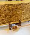 B&B Honey Spa