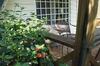 Bed & Breakfast Lake-house Resort