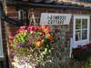Bed & Breakfast Primrose Cottage
