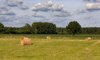 Bed & Breakfast Les Nuits Safran�es