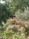 Bed & Breakfast Les Nuits Safran�es
