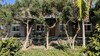Bed & Breakfast Hakka Eco-farm