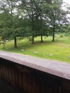 Posada Catskill Mountain Lodge