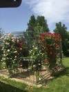 Bed And Breakfast Red Wine Country House