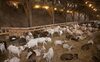 Hotel La Ferme Des C�vennes