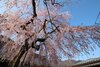 Taisho Modern Villa Zen