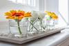 Apartamentos Gell�rt Budapest Suites