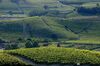 Best Western Hotel Langhe Cherasco