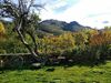 Agroturismo Mirador de Babia