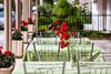Amfion Hotel