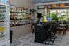 Hostal Allstar Guesthouse